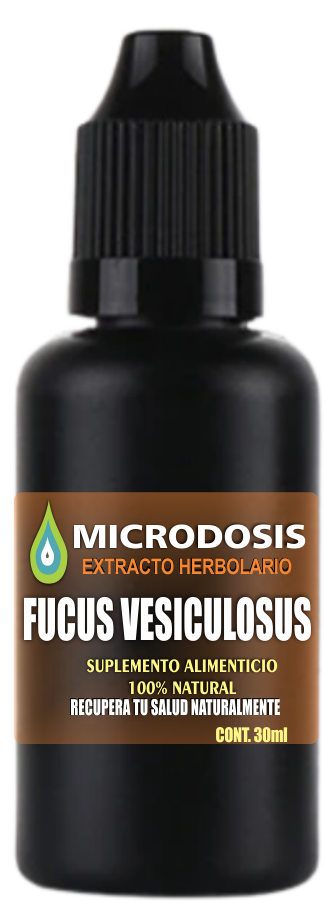 Extracto de Fucus Vesiculosus