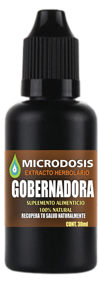 Extracto de Gobernadora